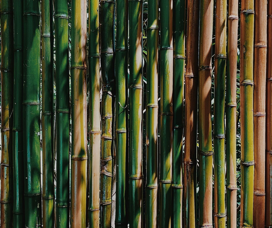 Making Bamboo Cups beautiful environmentally friendly - Bamboo craft 